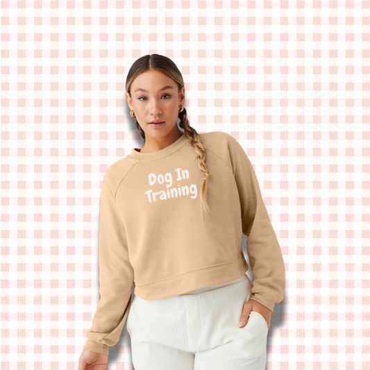 Custom Branded Cropped Sweatshirt with slogan